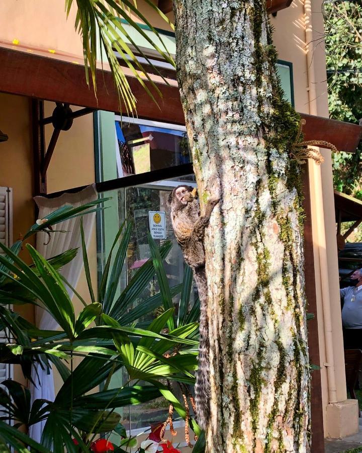 Petrópolis Pousada Pataca De Prata - Pousada De Epoca מראה חיצוני תמונה